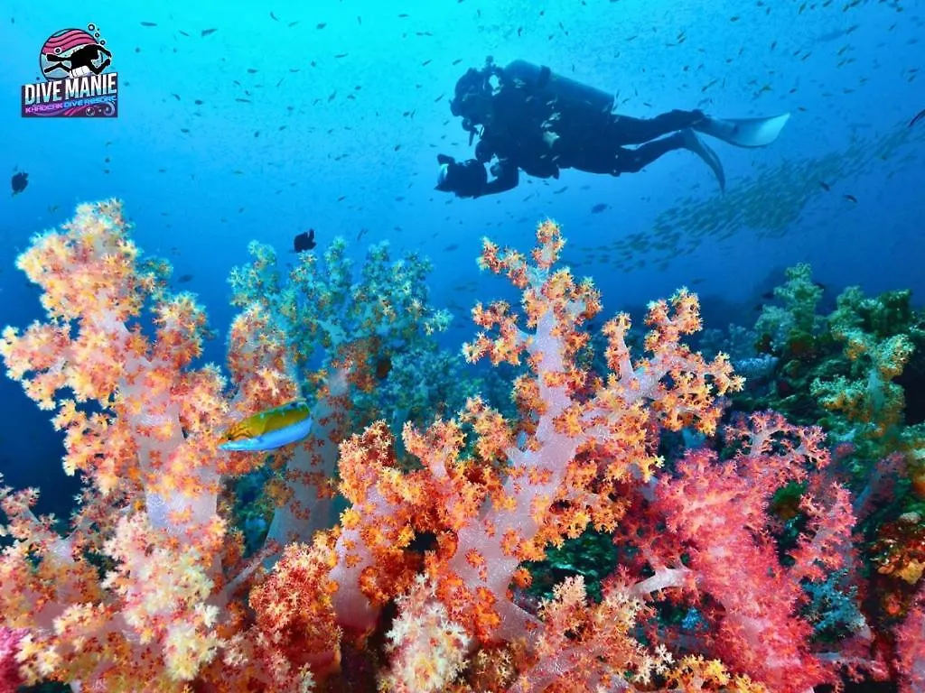호텔 Khaolak Dive Resort 카오락