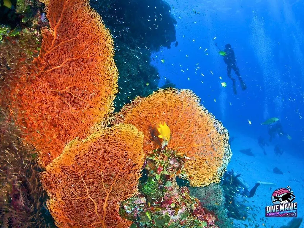Khaolak Dive Resort 카오락 3*,