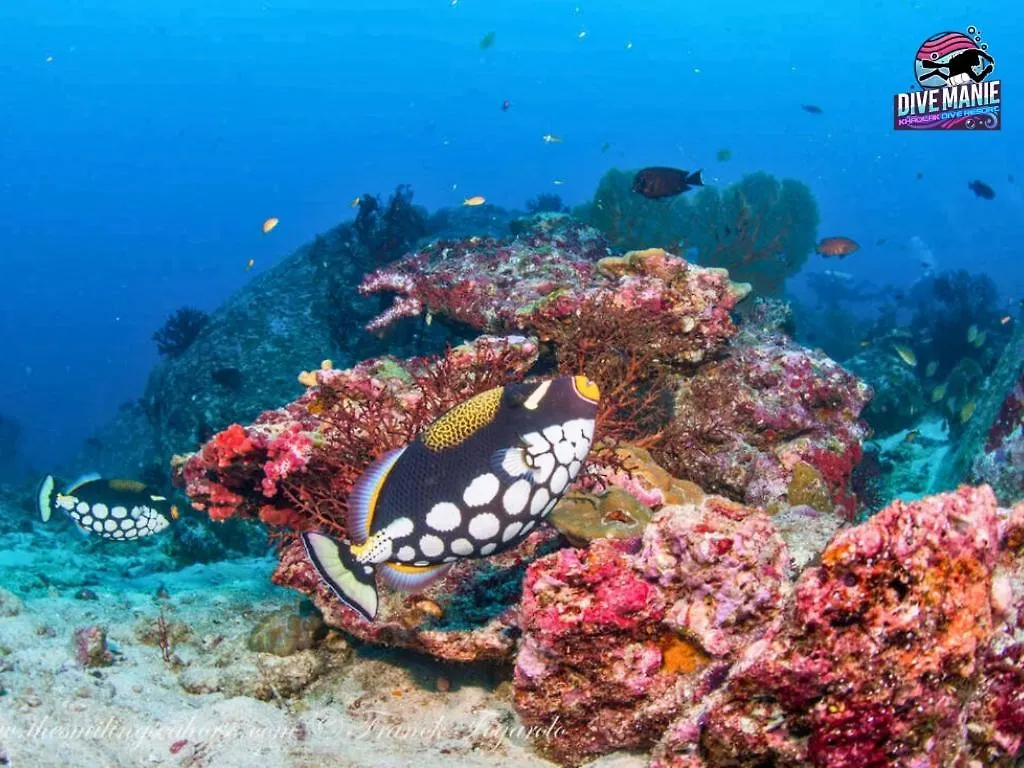קאו לק Khaolak Dive Resort